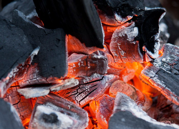 Grillsüsi